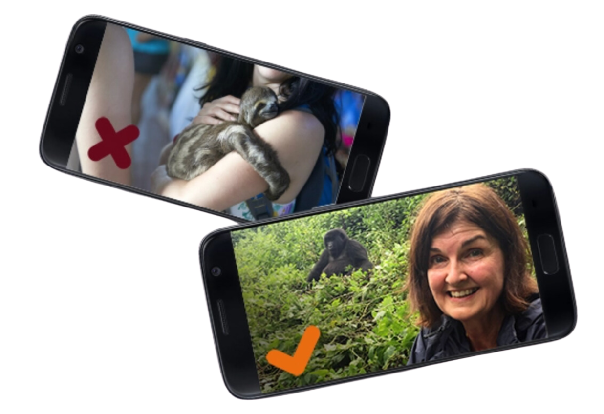 A graphic of two cell phones with do's and don'ts examples of selfies around wildlife.
